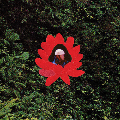 When The Flowers Bloom LP by Lionmilk album artwork
