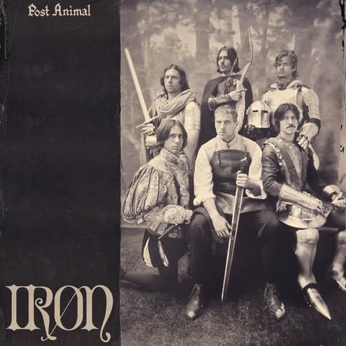 Iron LP by Post Animal album artwork