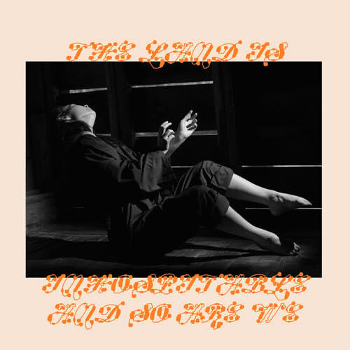 The Land Is Inhospitable And So Are We LP by Mitski album artwork