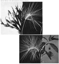 New Environments and Rhythm Studies LP by Andrew Pekler album artwork