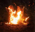 Walk Through Fire 2LP by Ben Fuller album artwork