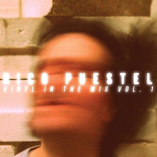 Vinyl In The Mix Vol.1 CD by Rico Puestel album artwork
