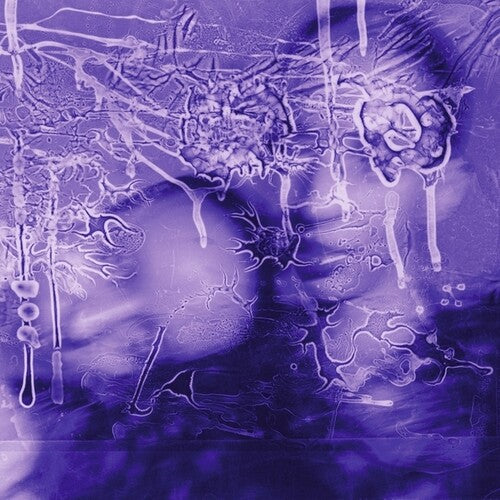 I Got A Song It's Going To Make Us Millions LP by Sirens Of Lesbos album artwork