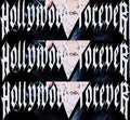 Hollywood Forever LP by DeathbyRomy album artwork