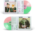 Days/Vibes LP by Vacations album artwork