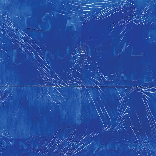 It's A Beautiful Place LP by Water From Your Eyes album artwork