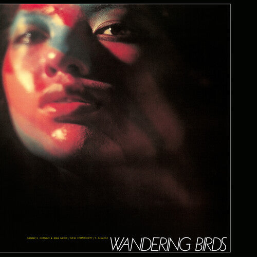 Wandering Birds LP by Jiro Inagaki and Soul Media album artwork