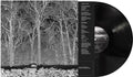 Sunshine & Balance Beams LP by Pile album artwork