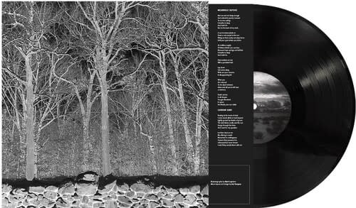 Sunshine & Balance Beams LP by Pile album artwork