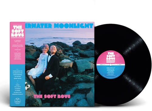Underwater Moonlight LP by The Soft Boys album artwork