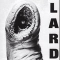 Power of Lard LP by Lard album artwork