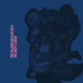 That Wasn't a Dream LP by Pino Palladino album artwork