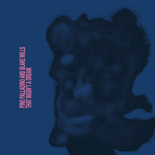 That Wasn't a Dream LP by Pino Palladino album artwork
