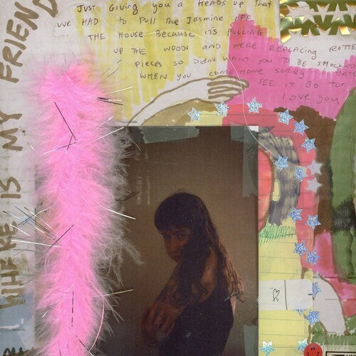 I Was Trying to Describe You to Someone LP by Wednesday album artwork
