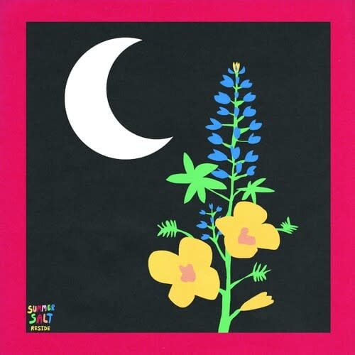 Reside LP by Summer Salt album artwork