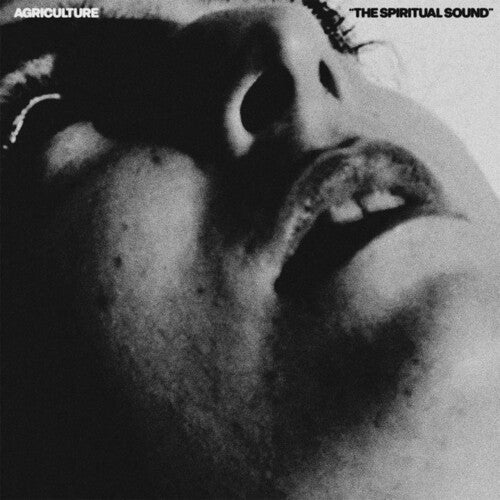 The Spiritual Sound LP by Agriculture album artwork