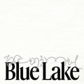 The Animal LP by Blue Lake album artwork