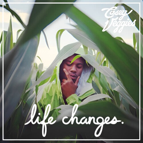 Life Changes 2LP by Casey Veggies album artwork