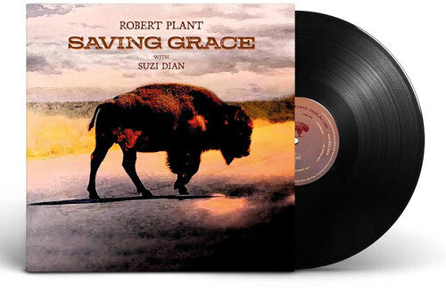 Saving Grace LP by Robert Plant album artwork