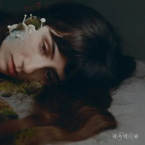 Not for Lack of Trying LP by Dodie album artwork
