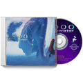 2000: In Search of the Endless Sky CD by Fleshwater album artwork
