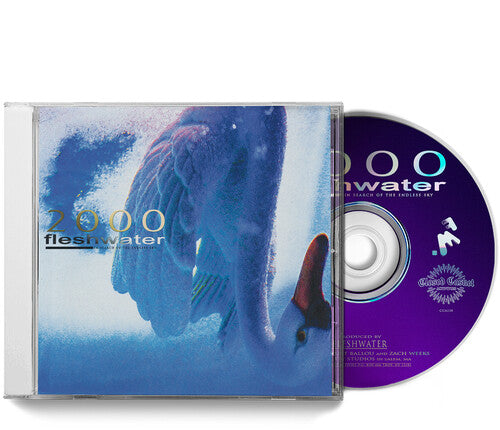 2000: In Search of the Endless Sky CD by Fleshwater album artwork