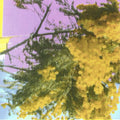 Into Dust (Still Falling) 12" by Four Tet album artwork
