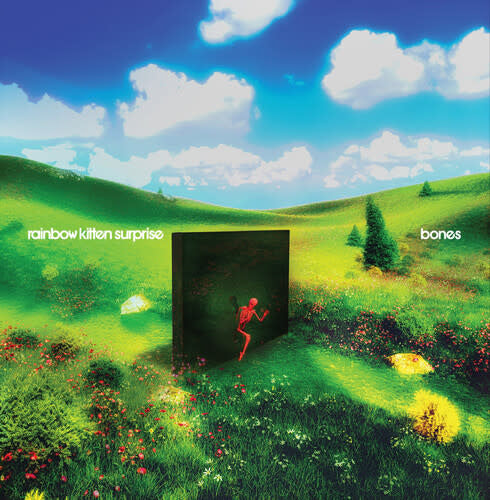 Bones LP by Rainbow Kitten Surprise album artwork