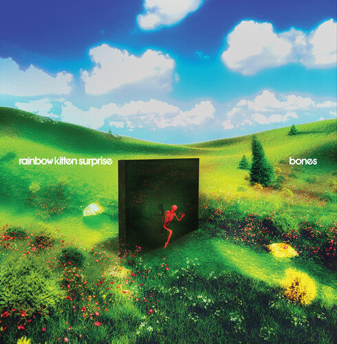 Bones CD by Rainbow Kitten Surprise album artwork