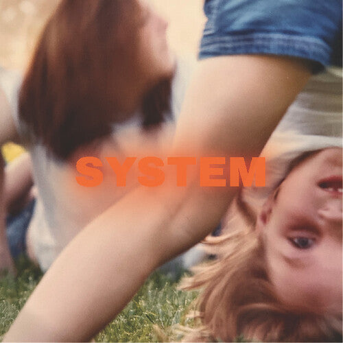 System LP by Prewn album artwork