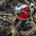Nested In Tangles LP by Hannah Frances album artwork