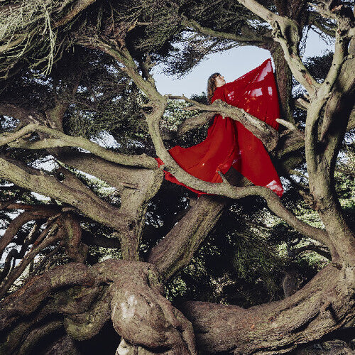 Nested In Tangles LP by Hannah Frances album artwork