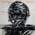 Medicine Show LP by The Dream Syndicate album artwork