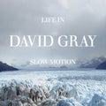 Life In Slow Motion 2LP by David Gray album artwork