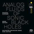 Analog Fluids of Sonic Black Holes LP by Moor Mother album artwork