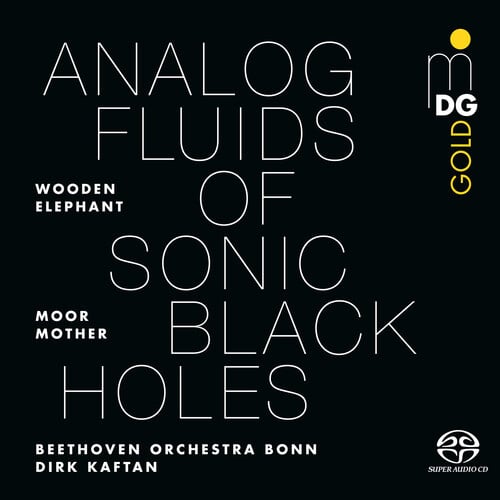 Analog Fluids of Sonic Black Holes LP by Moor Mother album artwork