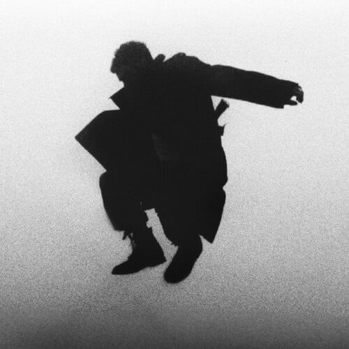 Chasing The Chimera LP by Del Water Gap album artwork