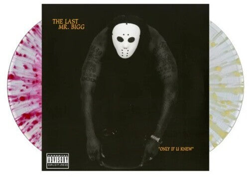 Only If U Knew 2LP by The Last Mr. Bigg album artwork