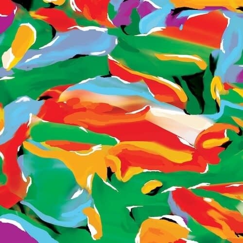 Birds of Paradise LP by Auntie Flo album artwork