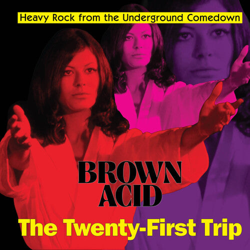 Brown Acid: The Twenty-First Trip LP by Various album artwork