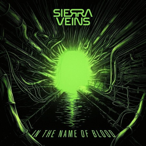 In the Name of Blood LP by Sierra Venus album artwork