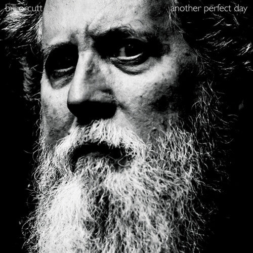 Another Perfect Day LP by Bill Orcutt album artwork