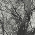 Way Their Crept LP by Grouper album artwork