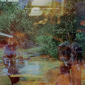 What of Our Nature CD by Haley Heynderickx album artwork