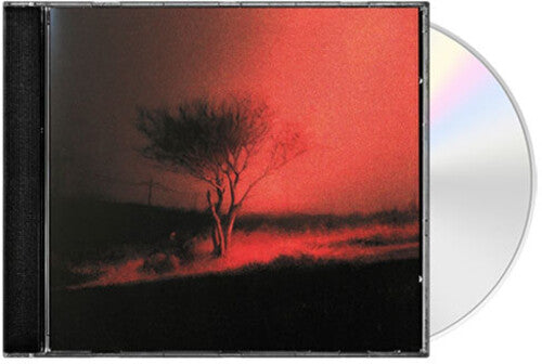Piss in the Wind CD by Joji album artwork