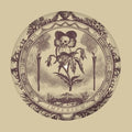 Imperium LP by Current 93 album artwork