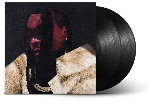 Everything is a Lot. 2LP by Wale album artwork