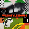 Kapote Presents Wildsty,e House, Vol. 1 2LP by Various album artwork