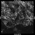 Sworn LP by The Mary Onettes album artwork