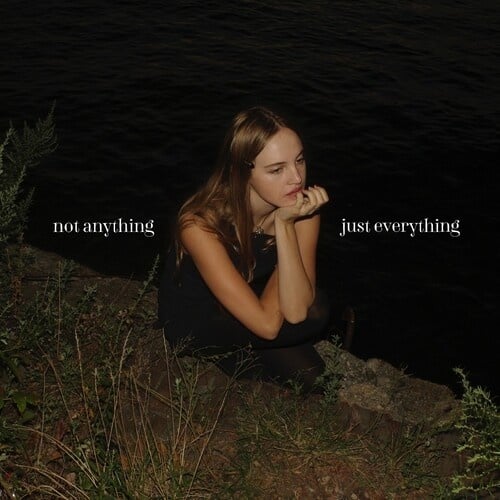 Not Anything Just Everything LP by Kristiane album artwork